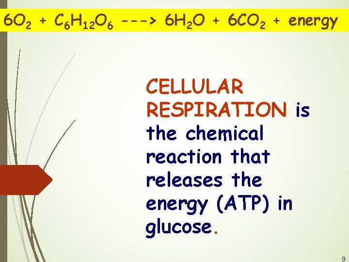 6 O 2 + C 6 H 12 O 6 ---> 6 H 2