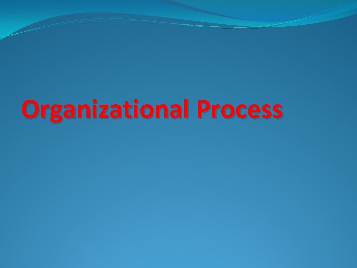 Organizational Process 