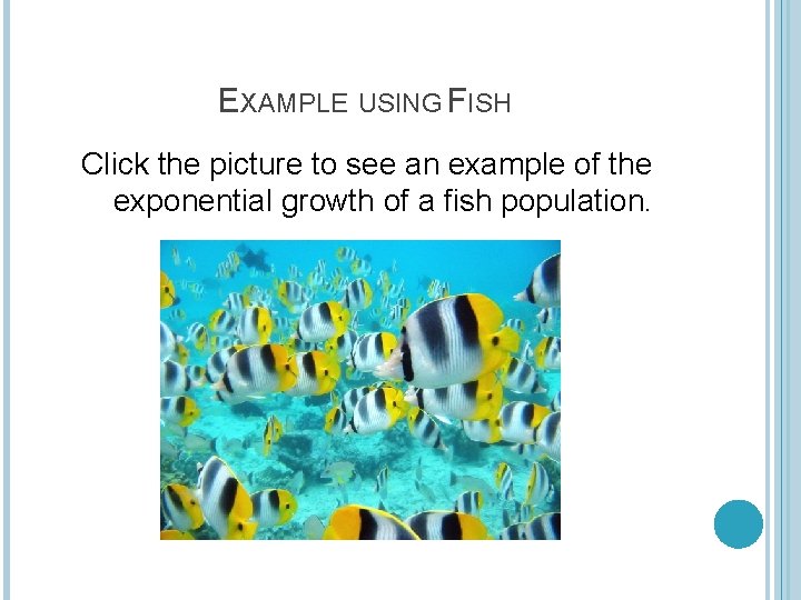 EXAMPLE USING FISH Click the picture to see an example of the exponential growth