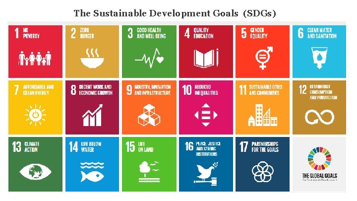 The Sustainable Development Goals (SDGs) 