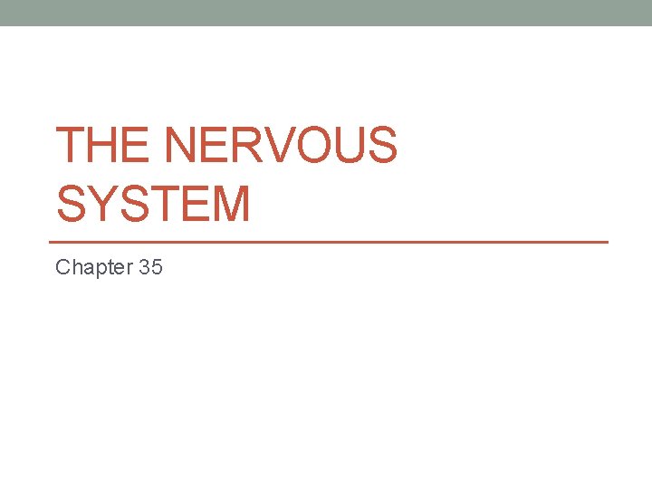 THE NERVOUS SYSTEM Chapter 35 