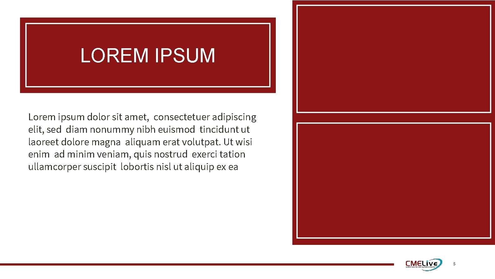 LOREM IPSUM Lorem ipsum dolor sit amet, consectetuer adipiscing elit, sed diam nonummy nibh