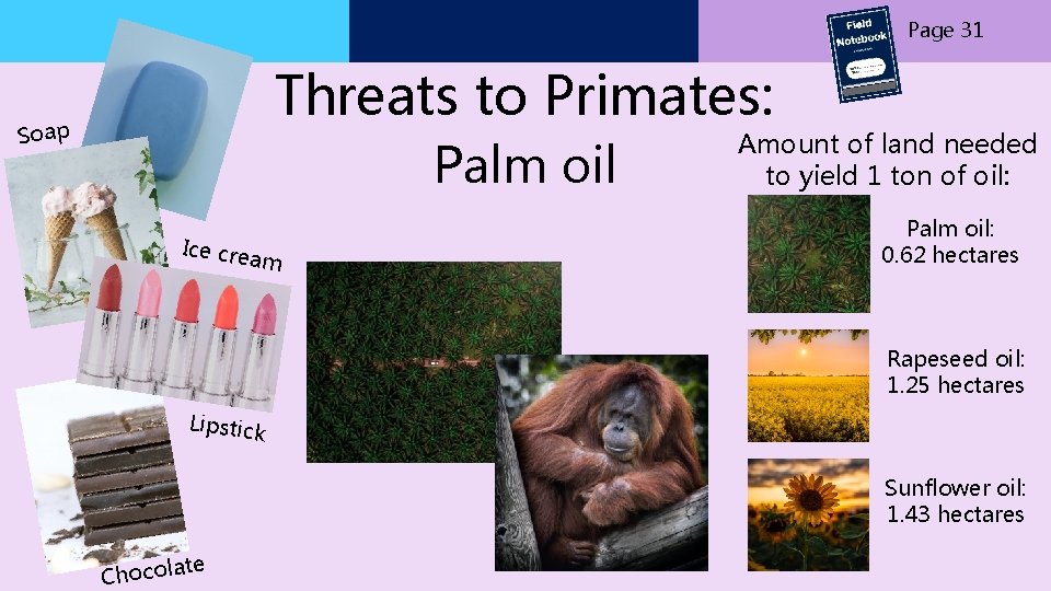 Page 31 Threats to Primates: Soap Palm oil Ice cre am Amount of land Page 31 Threats to Primates: Soap Palm oil Ice cre am Amount of land