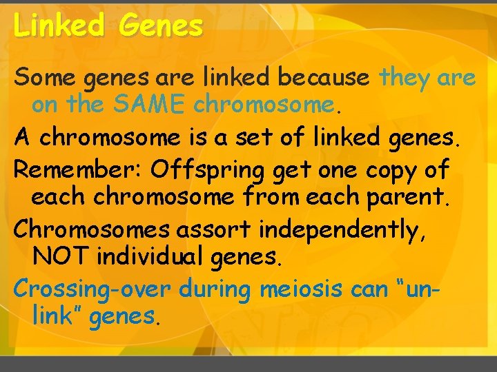 Linked Genes Some genes are linked because they are on the SAME chromosome. A