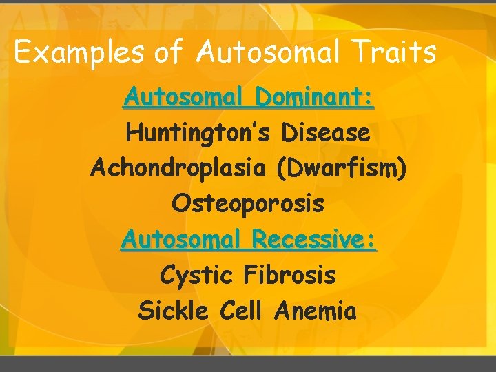 Examples of Autosomal Traits Autosomal Dominant: Huntington’s Disease Achondroplasia (Dwarfism) Osteoporosis Autosomal Recessive: Cystic