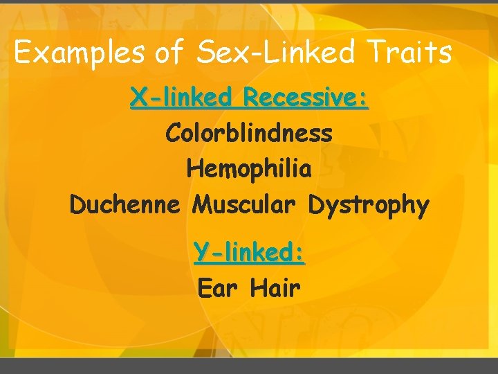 Examples of Sex-Linked Traits X-linked Recessive: Colorblindness Hemophilia Duchenne Muscular Dystrophy Y-linked: Ear Hair