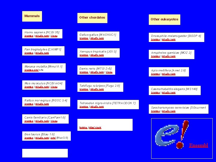 Mammals Homo sapiens [NCBI 35] browse | what's new | Vega Pan troglodytes [CHIMP