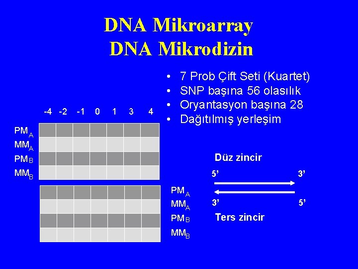 DNA Mikroarray DNA Mikrodizin -4 -2 PM A -1 0 1 3 4 •