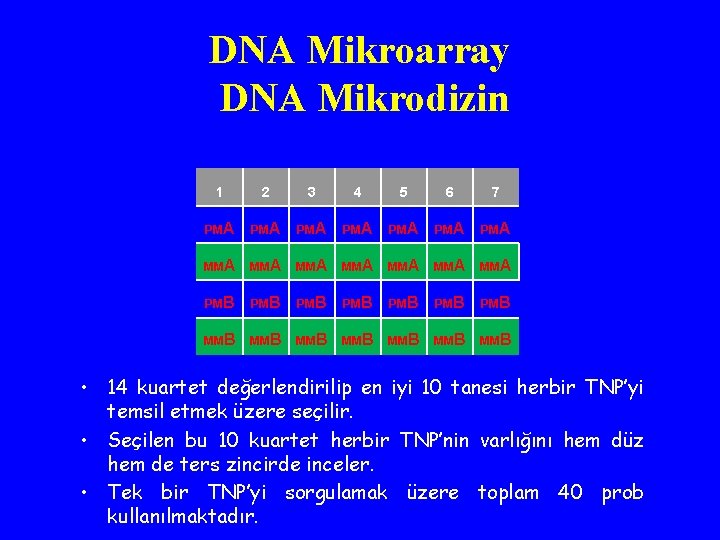 DNA Mikroarray DNA Mikrodizin 1 2 3 4 5 6 7 PMA PMA MMA