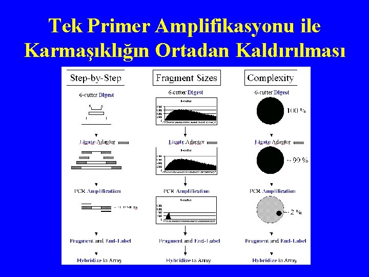 Tek Primer Amplifikasyonu ile Karmaşıklığın Ortadan Kaldırılması 