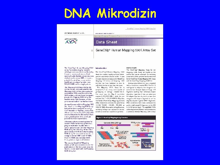 DNA Mikrodizin 