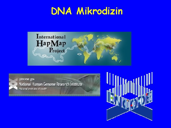 DNA Mikrodizin <> <> 