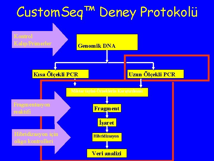 Custom. Seq™ Deney Protokolü Kontrol Kalıp/Primerler Genomik DNA Kısa Ölçekli PCR Uzun Ölçekli PCR