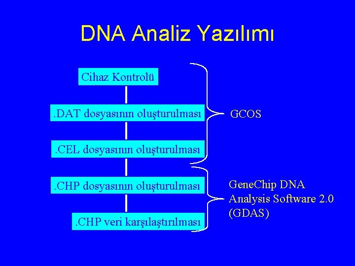 DNA Analiz Yazılımı Cihaz Kontrolü. DAT dosyasının oluşturulması GCOS . CEL dosyasının oluşturulması. CHP