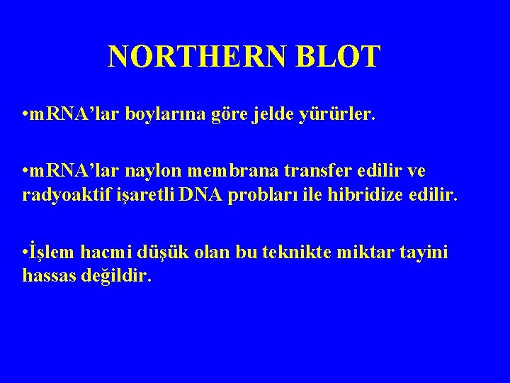 NORTHERN BLOT • m. RNA’lar boylarına göre jelde yürürler. • m. RNA’lar naylon membrana