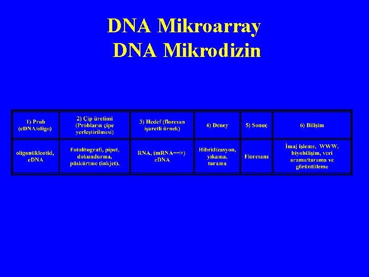 DNA Mikroarray DNA Mikrodizin 