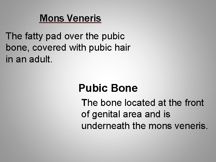 Mons Veneris The fatty pad over the pubic bone, covered with pubic hair in