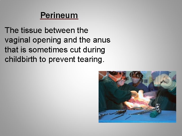Perineum The tissue between the vaginal opening and the anus that is sometimes cut
