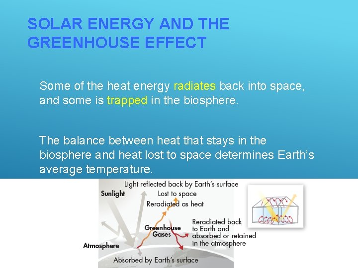 SOLAR ENERGY AND THE GREENHOUSE EFFECT Some of the heat energy radiates back into