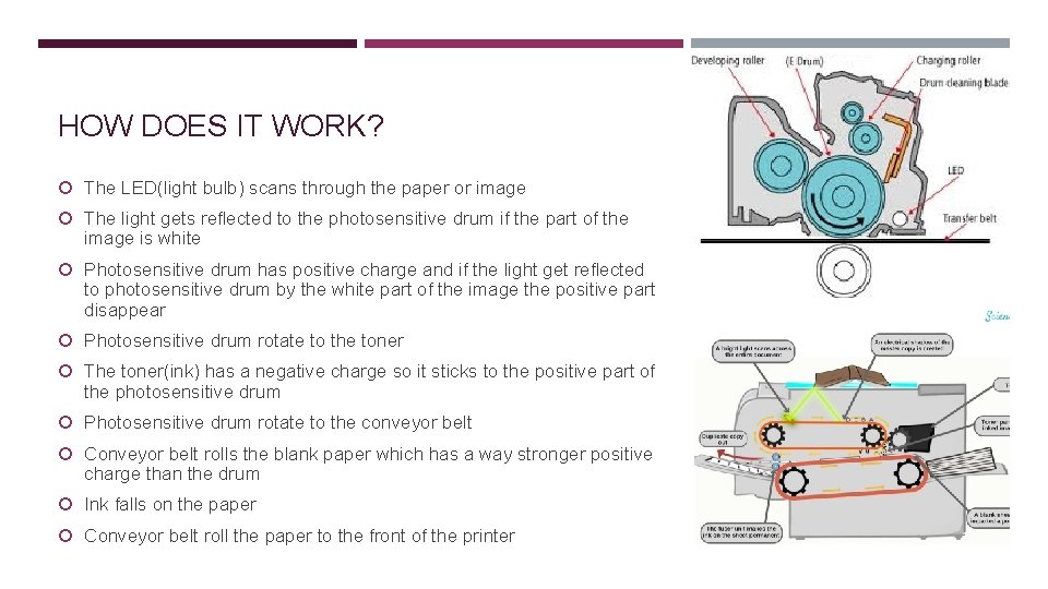 HOW DOES IT WORK? The LED(light bulb) scans through the paper or image The HOW DOES IT WORK? The LED(light bulb) scans through the paper or image The
