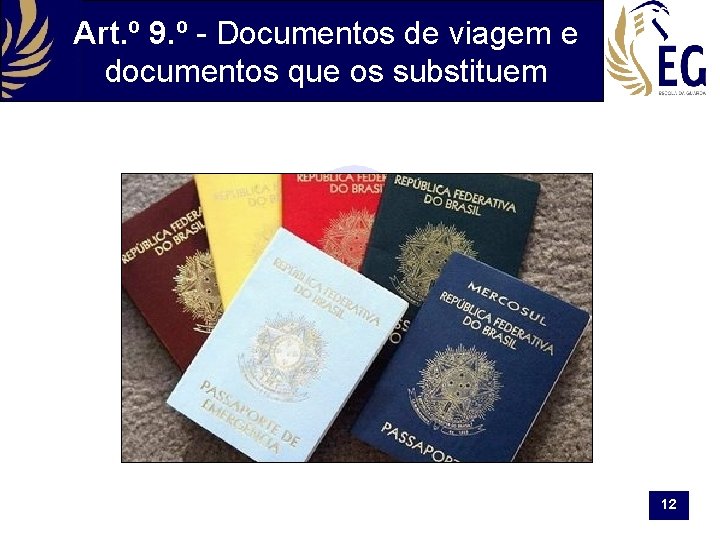 Art. º 9. º - Documentos de viagem e documentos que os substituem 12