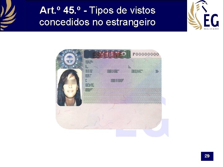 Art. º 45. º - Tipos de vistos concedidos no estrangeiro 29 