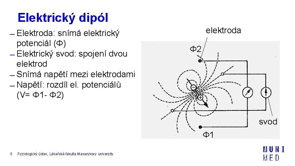 Elektrický dipól Elektroda: snímá elektrický potenciál (Φ) Elektrický svod: spojení dvou elektrod Snímá napětí