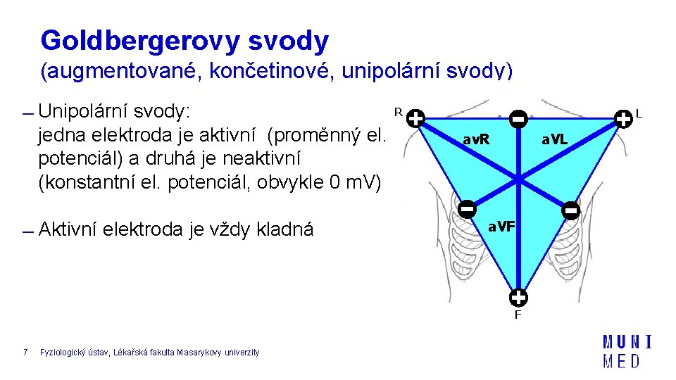 Goldbergerovy svody (augmentované, končetinové, unipolární svody) Unipolární svody: jedna elektroda je aktivní (proměnný el.