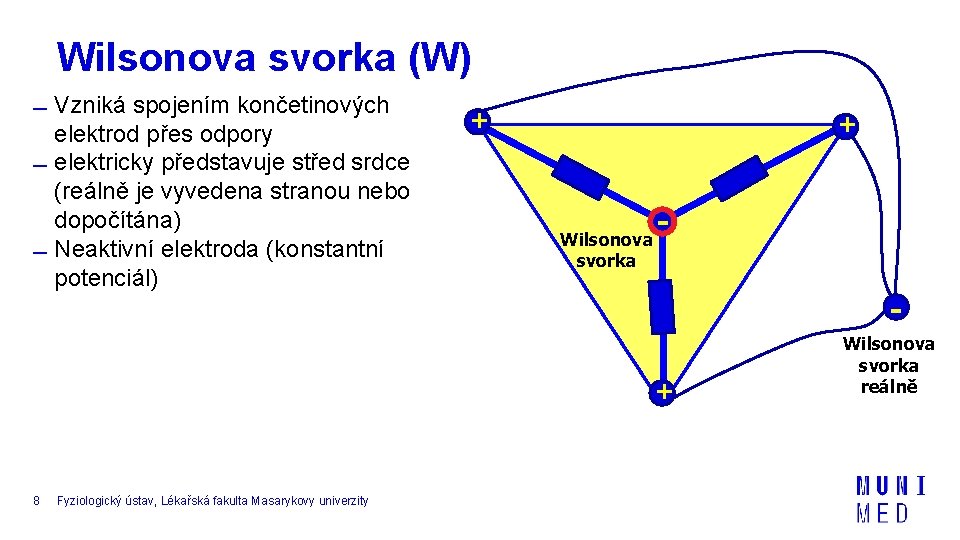 Wilsonova svorka (W) Vzniká spojením končetinových elektrod přes odpory elektricky představuje střed srdce (reálně