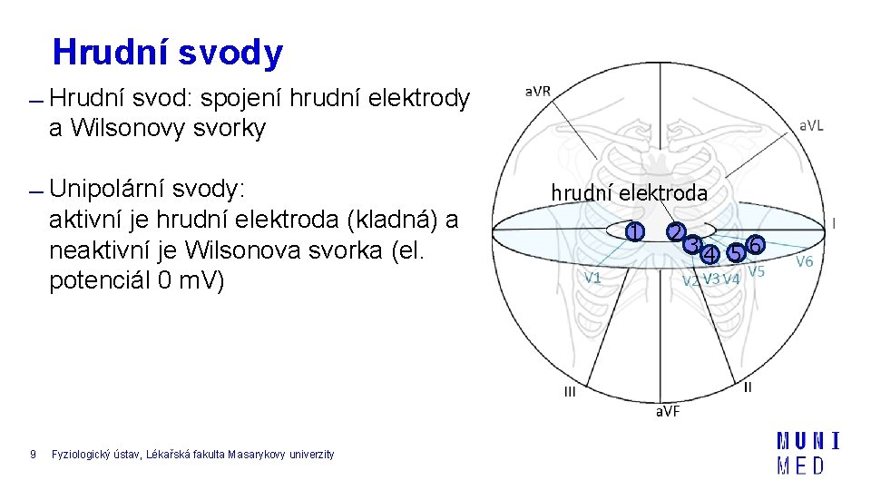 Hrudní svody Hrudní svod: spojení hrudní elektrody a Wilsonovy svorky Unipolární svody: aktivní je