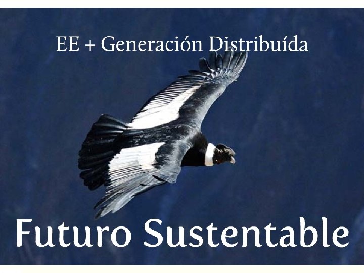 Seminario : “desde el Maule: Propuestas para una matriz energética sustentable”. TRM / 13