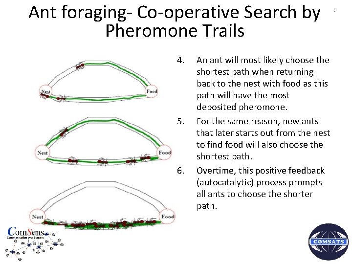 Ant foraging- Co-operative Search by Pheromone Trails 4. 5. 6. An ant will most