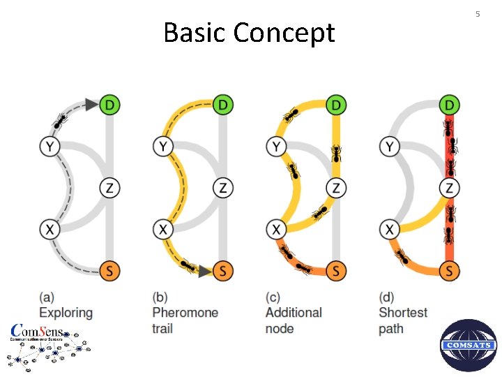 Basic Concept 5 