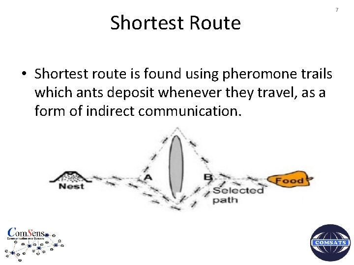 Shortest Route • Shortest route is found using pheromone trails which ants deposit whenever