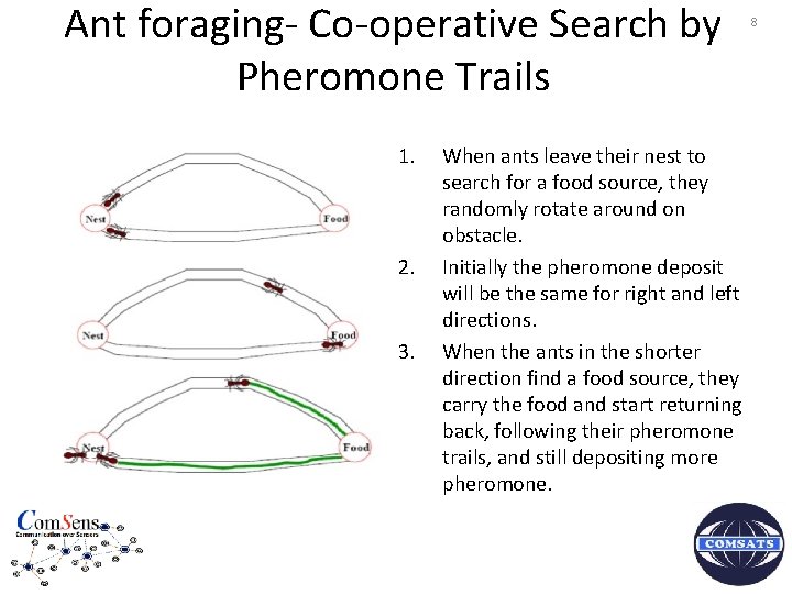 Ant foraging- Co-operative Search by Pheromone Trails 1. 2. 3. When ants leave their