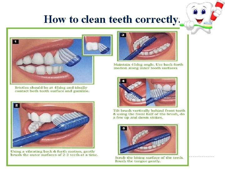 How to clean teeth correctly. 