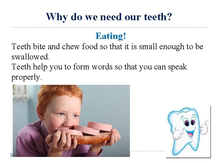 Why do we need our teeth? Eating! Teeth bite and chew food so that