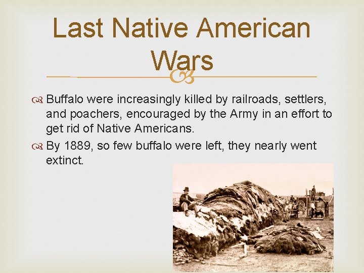 Last Native American Wars Buffalo were increasingly killed by railroads, settlers, and poachers, encouraged Last Native American Wars Buffalo were increasingly killed by railroads, settlers, and poachers, encouraged