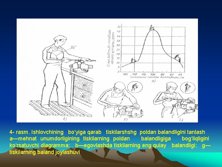 4 - rasm. Ishlovchining bo‘yiga qarab tiskilarshshg poldan balandligini tanlash a—mehnat unumdorligining tiskilarning poldan