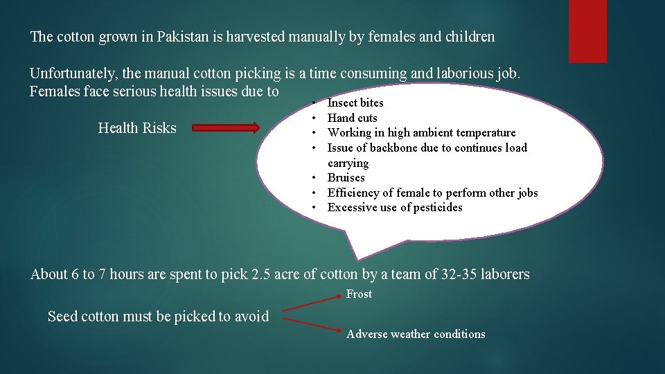 The cotton grown in Pakistan is harvested manually by females and children Unfortunately, the