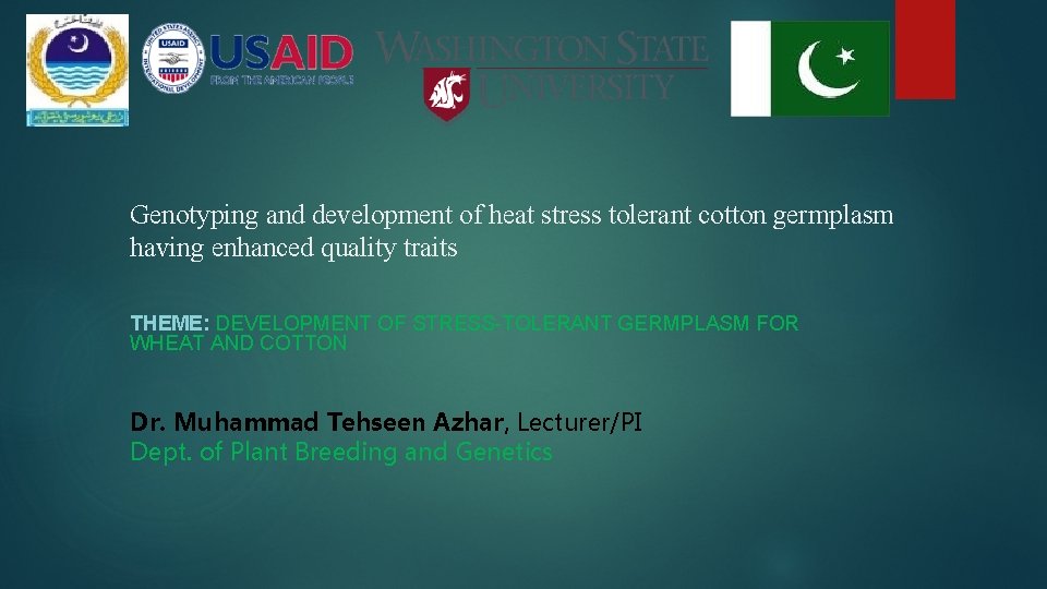 Genotyping and development of heat stress tolerant cotton germplasm having enhanced quality traits THEME: