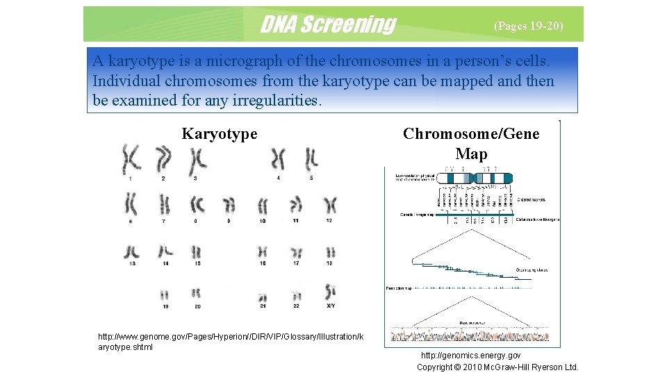 DNA Screening (Pages 19 -20) A karyotype is a micrograph of the chromosomes in