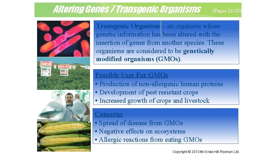 Altering Genes / Transgenic Organisms (Pages 22 -23) Transgenic Organism – an organism whose