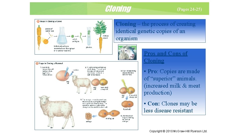 Cloning (Pages 24 -25) Cloning – the process of creating identical genetic copies of