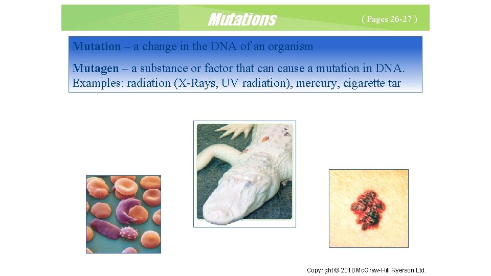 Mutations ( Pages 26 -27 ) Mutation – a change in the DNA of