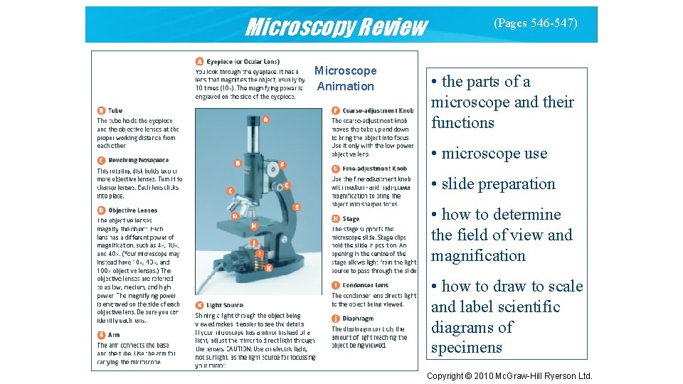 Microscopy Review Microscope Animation (Pages 546 -547) • the parts of a microscope and