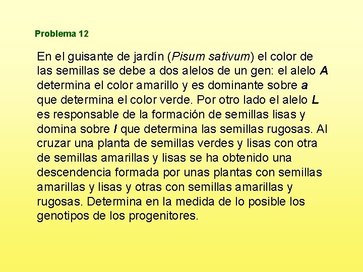 Problema 12 En el guisante de jardín (Pisum sativum) el color de las semillas