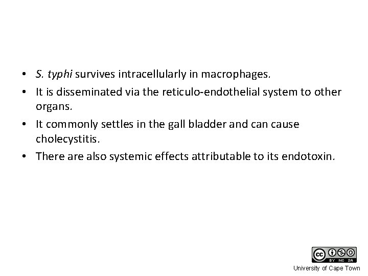  • S. typhi survives intracellularly in macrophages. • It is disseminated via the