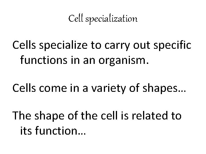 Cell specialization Cells specialize to carry out specific functions in an organism. Cells come