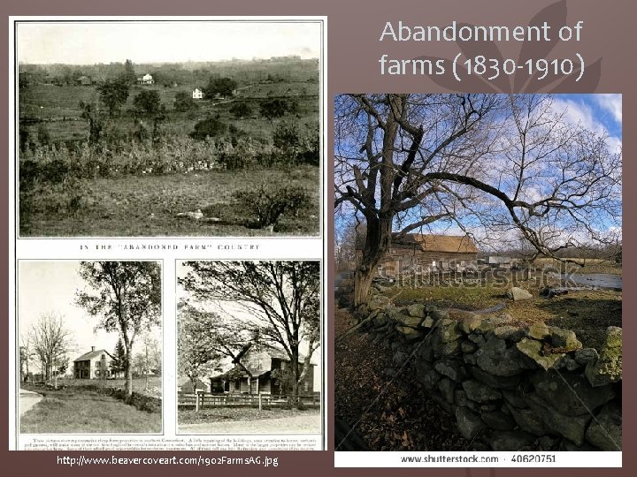 Abandonment of farms (1830 -1910) http: //www. beavercoveart. com/1902 Farms. AG. jpg 